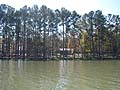 Guy Fanguy - Artist - Photographer - Guy Fanguy - Campgrounds - Mississippi - Lake Lincoln State Park (105).jpg Size: 1049559 - 8